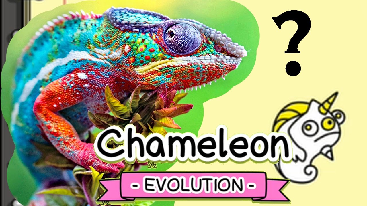 free chameleon game